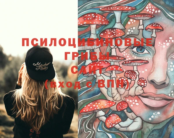 mdpv Вязники